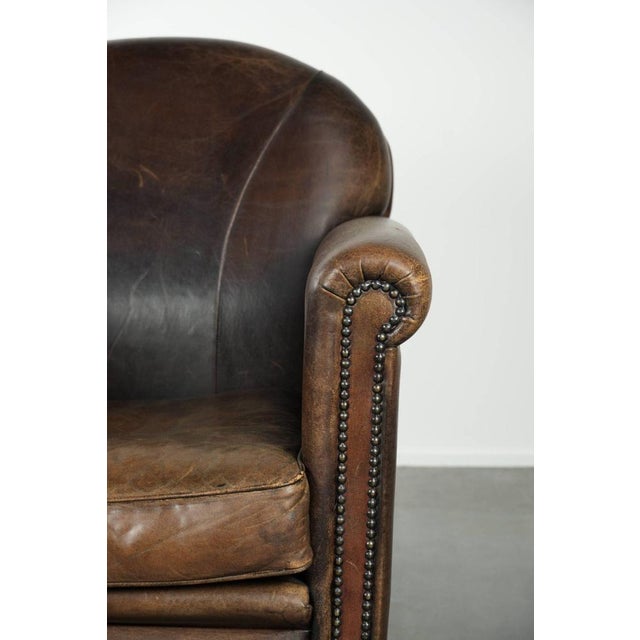 Brown Club Chair in Sheepskin Leather For Sale - Image 8 of 12