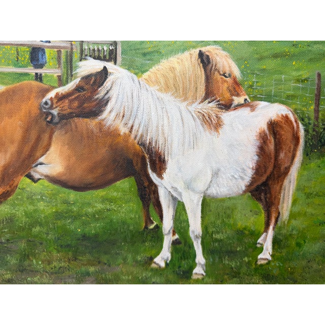 Shetland Groom Original British Equestrian Oil Painting of Two Ponies Framed For Sale - Image 13 of 14