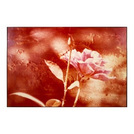 Example of Greg Copeland Original Prints