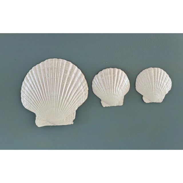 - This elegant set of three handcrafted seashell dishes, showcases the beauty of coastal design with a refined artisanal...