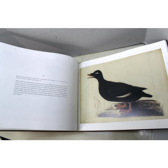 A Flight of 3 Elegant Bird Books – Audubon, Fuentes, Peterson –Oversized Illustrated Ornithology Editions For Sale - Image 4 of 15