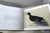 A Flight of 3 Elegant Bird Books – Audubon, Fuentes, Peterson –Oversized Illustrated Ornithology Editions For Sale - Image 4 of 15