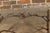 Mid-Century Modern Midcentury French Iron Twig Coffee Table Base with Cross Stretcher For Sale - Image 3 of 12