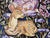 Contemporary We are Star-Stuff by Louis Recchia | Oil on canvas Two figures among flowers and a deer in a starry scene. For Sale - Image 3 of 3