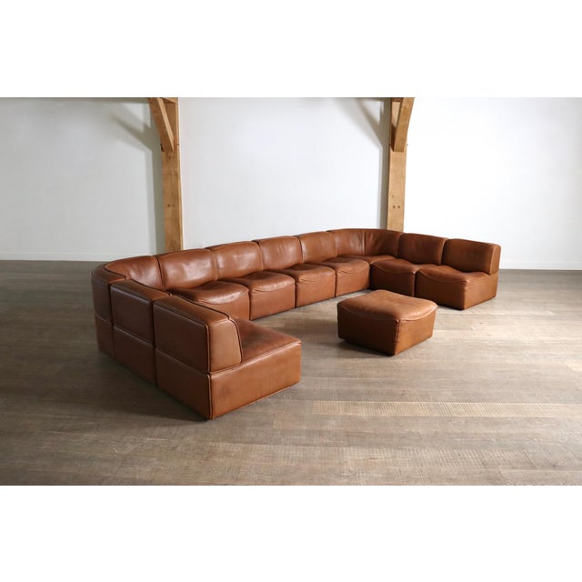 Animal Skin DS 15 Modular Sofa in Leather from de Sede, Switzerland, 1970s, Set of 11 For Sale - Image 7 of 14
