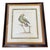 Hollywood Regency Set of 4 Vintage Continental Style Framed Natural History Prints For Sale - Image 3 of 12