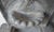 Aged Cast Stone Lions Head Wall Spitting Garden Fountain For Sale - Image 9 of 14