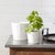 Kenneth Ludwig Chicago Porcelain Face Planter (Set of 2) For Sale - Image 4 of 6