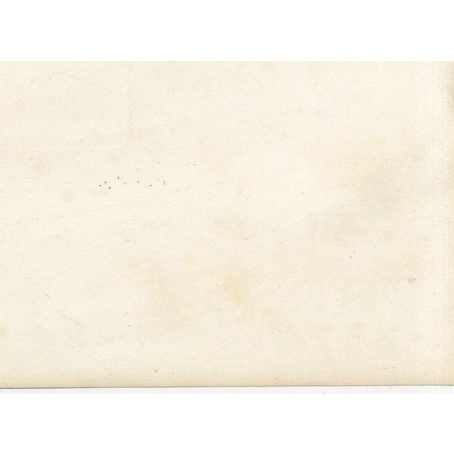 Oudet After Melin, Norman Cow, 1873, Paper For Sale - Image 10 of 12