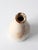 Ceramic Antique English Stoneware Bottle by Midland Pottery For Sale - Image 7 of 11