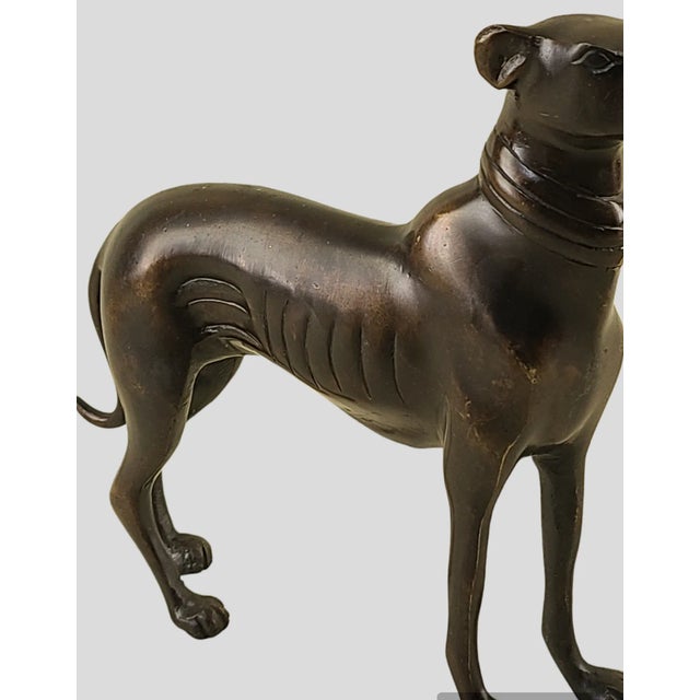 1910s Vintage Oil Bronze Finish Greyhound Whippet Dog Sculpture Statue For Sale - Image 5 of 9