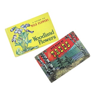 Vintage Tree and Wild Flower Nature Guide Book Set of 2 For Sale