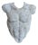 Mid 20th Century Sculpture of Male Torso Wall Hanging For Sale