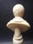 Grand Tour 19th Century Italian Antique Carved Alabaster Grand Tour Portrait Bust of Michelangelo Buonarroti For Sale - Image 3 of 9