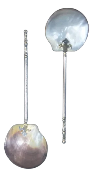 Antique Pair of Large Mother of Pearl Serving Spoons Shadow Box Framed Art