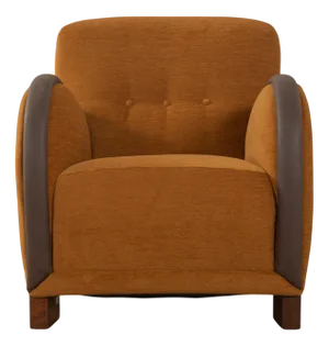 Vintage Art Deco German Lounge Chair, 1930s