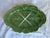Vintage Bordallo Pinheiro green and white glazed oval cabbage serving platter. Measures 14.5” wide, 20” deep and 1.5”...