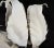 Mid 20th Century Large Italian Tole White Tulip Lamp Floral Flowers Mid Century Modern For Sale - Image 5 of 6