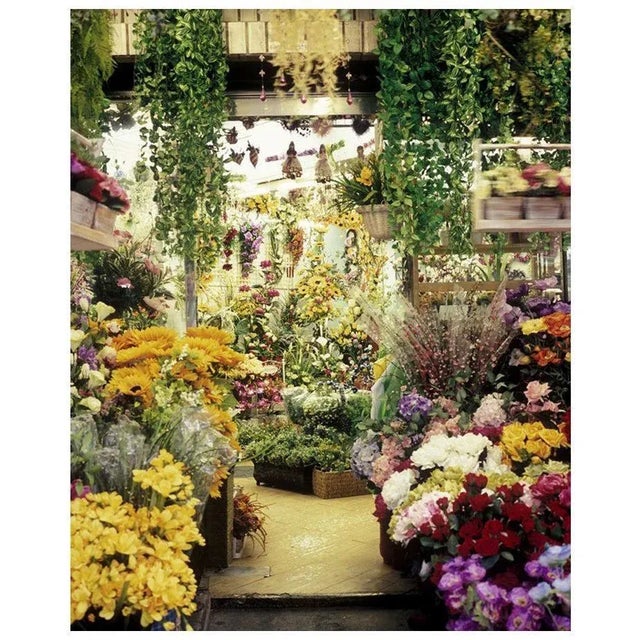 Paula Anta, Busano 03 Artificial Paradise Series Photography, Photography, 2008 For Sale - Image 8 of 8