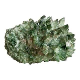 Green Phantom Quartz Cluster by Stillmantle For Sale