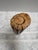 Petite Wood Tribal Brazilian Rain Stick Rattle For Sale - Image 4 of 7