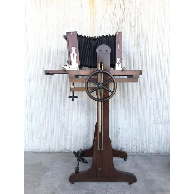 About Amazing late 19th century French oak camera from Spain. Made in oak and gold metal and in its color. Beautiful piece...