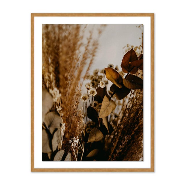 Annie Spratt Untitled by Annie Spratt Contemporary Photograph in Gold Frame, Medium For Sale - Image 4 of 4