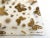 Georges Briard Vintage 1960's Mid Century Modern Georges Briard Gold Leaf Butterflies Glass Canape Hors d'Oeuvre Square Plates - Set of 9 For Sale - Image 4 of 12