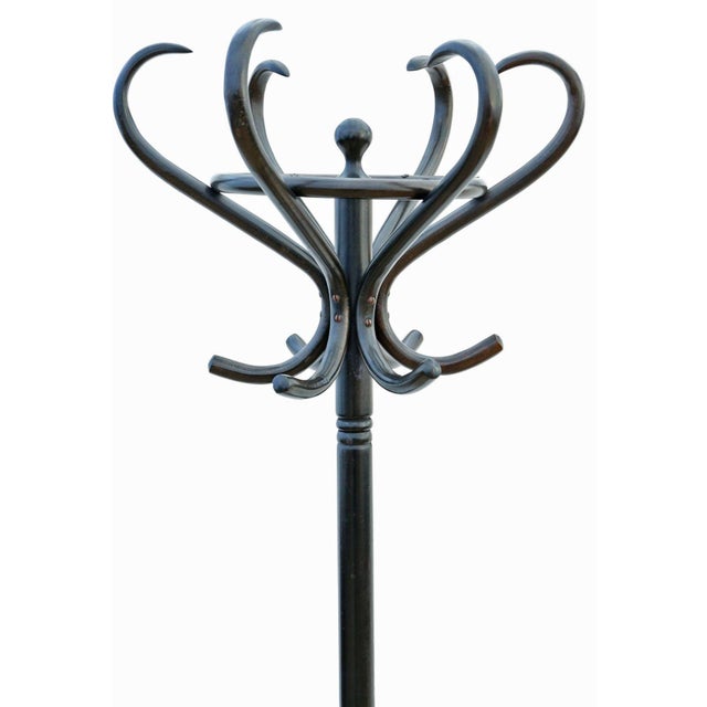 Antique Ebonised Bentwood Hallway Coat Rack with Hat, Stick and Umbrella Stand, 1920s For Sale - Image 4 of 6