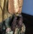 Gold Spanish Colonial Antique Santo Figure For Sale - Image 8 of 11