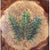 Abstract Antique Majolica Fern Bowl For Sale - Image 3 of 5