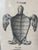 Wood Oversized 18th Century French Copperplate Engraving of Sea Turtle – Natural History Plate For Sale - Image 7 of 9