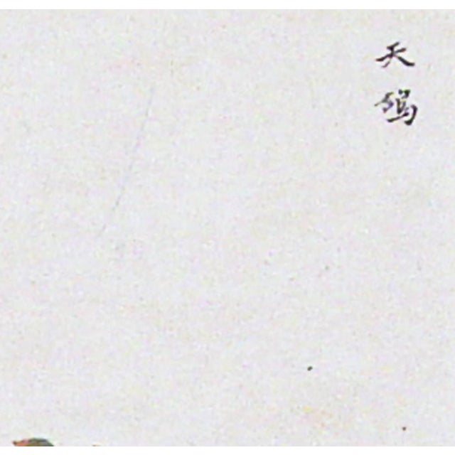 Paper Pair of Chinese Export Bird Watercolors, Canton Natural History Paintings For Sale - Image 7 of 8
