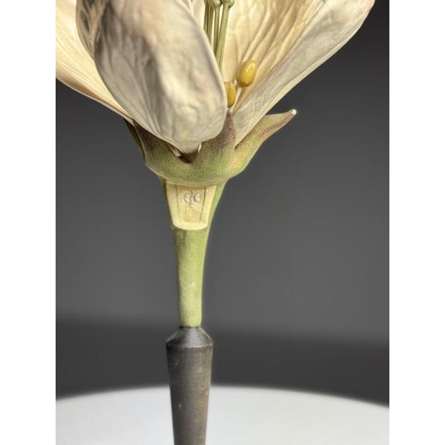 German Botanical Floral Model, 1900 For Sale - Image 16 of 18