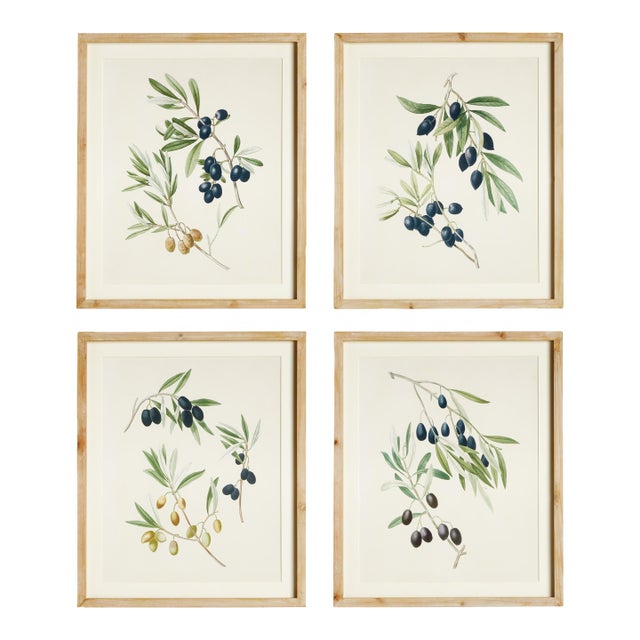 Olive Stems Study, Set Of 4 For Sale