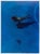Vintage exhibition poster realized by Franco Fontana in 1984. Printed and published by Galleria Rondanini. Very good...