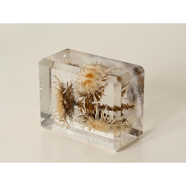 Acrylic Glass Paperweight with Encased Flowers by Pierre Giraudon, France, 1970s For Sale - Image 12 of 14