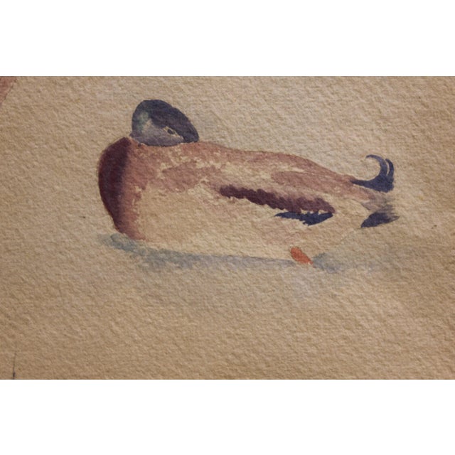 Chester Dixon Snowden 1 Study of Ducks Watercolor Painting 1960's For Sale - Image 4 of 7