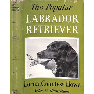 "The Popular Retriever" 1961 Lorna, Countess Howe For Sale