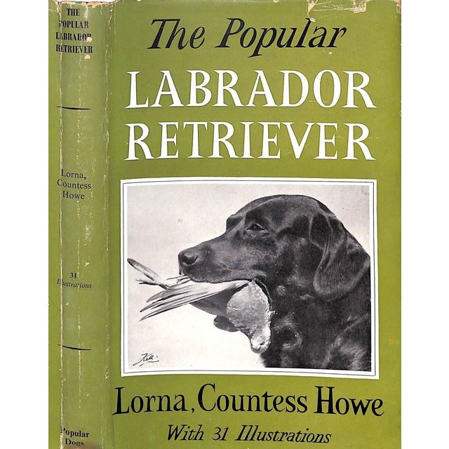 "The Popular Retriever" 1961 Lorna, Countess Howe For Sale