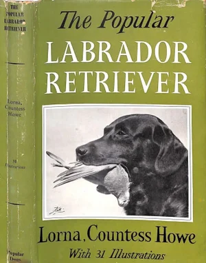 "The Popular Retriever" 1961 Lorna, Countess Howe