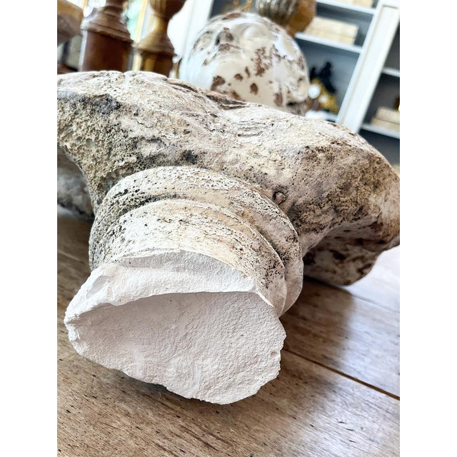 Sculpture Materials Antique Bust of Roman Figure For Sale - Image 7 of 7