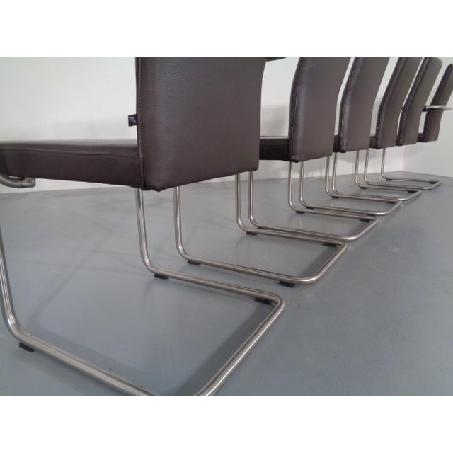 Leather Cantilever Dining Chairs by Karl Friedrich Förster for KFF, 1990s, Set of 6 For Sale - Image 11 of 18
