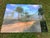 Old Florida; Highlands Hammock Park, Sebring Florida Photo Print, Pines and Palmetto. Four by Three Feet in Plastic For Sale - Image 10 of 18