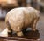 Metal Mid-Century French Painted Cast Iron Piggy Bank Sculpture For Sale - Image 7 of 10