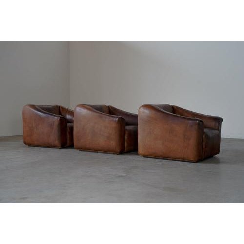 Vintage Swiss DS47 Lounge Chair from de Sede, 1970s For Sale - Image 6 of 17