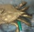 Large Vintage Brass Crab Figure Box, With Baby Crab on Back For Sale - Image 10 of 11