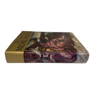 Vintage The Complete Works of Michelangelo Book For Sale