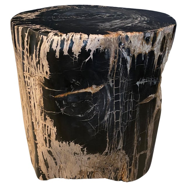Wood Andrianna Shamaris Ancient Sculptural Petrified Wood Side Table For Sale - Image 7 of 18