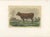 Unknown, Flemish Cow, 1873, Paper For Sale - Image 3 of 12